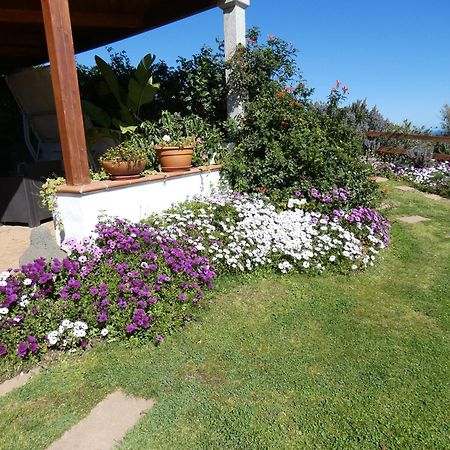 سينيسكولا Comino Alto Agriturismo E Appartamenti المظهر الخارجي الصورة