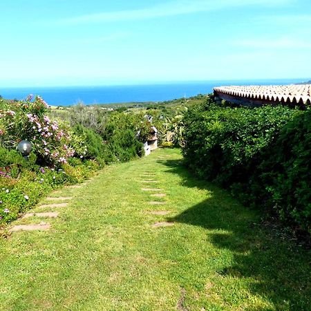 سينيسكولا Comino Alto Agriturismo E Appartamenti المظهر الخارجي الصورة