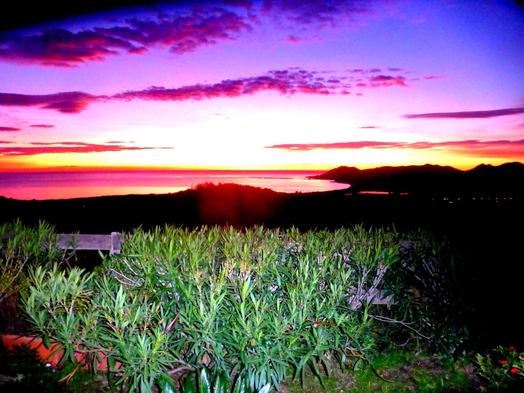 سينيسكولا Comino Alto Agriturismo E Appartamenti المظهر الخارجي الصورة