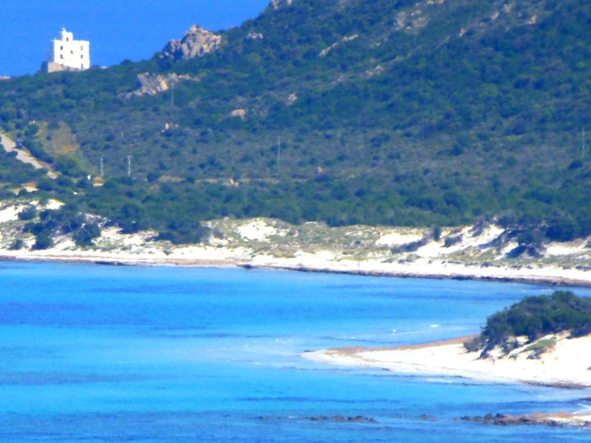 سينيسكولا Comino Alto Agriturismo E Appartamenti المظهر الخارجي الصورة