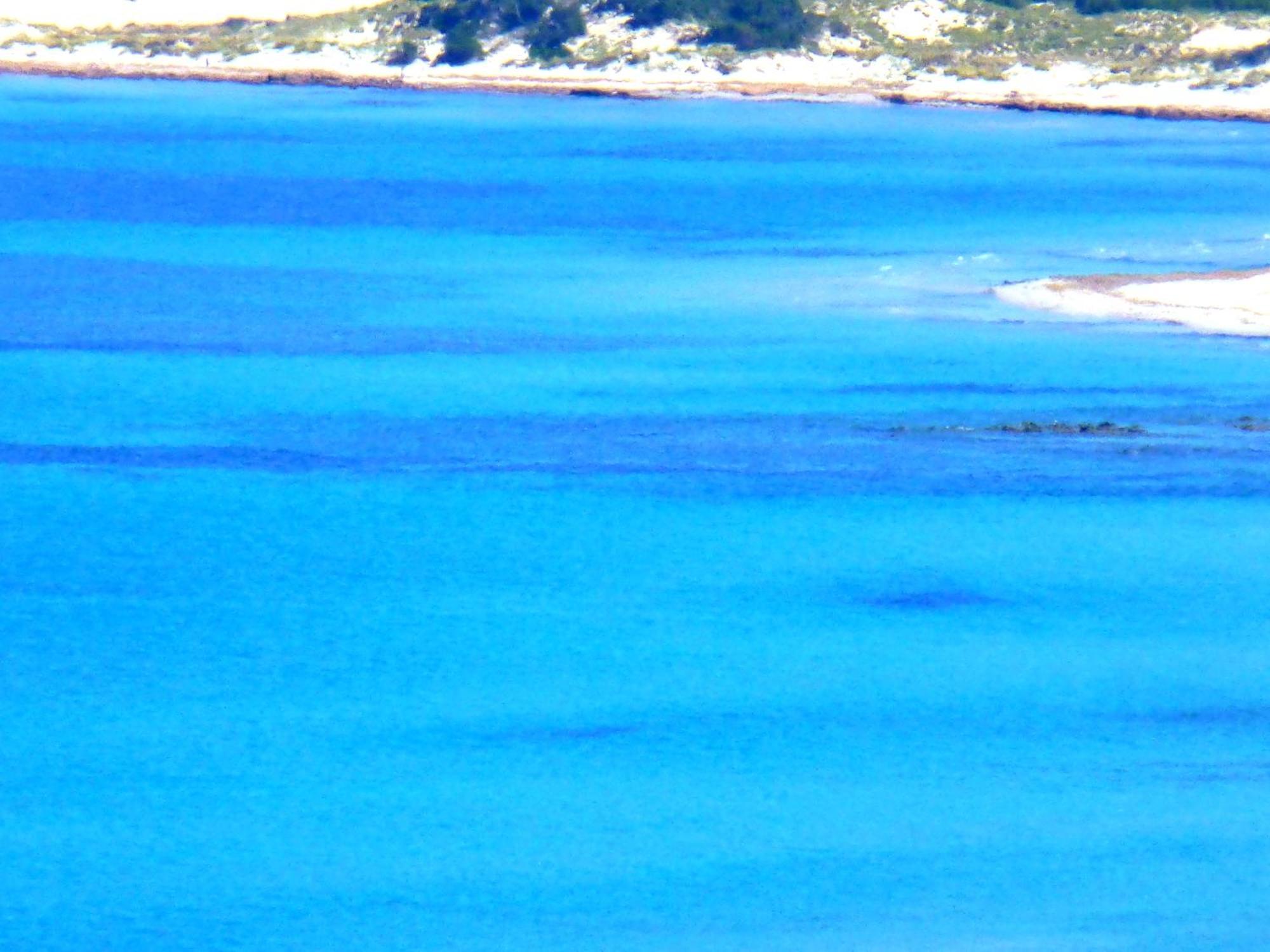 سينيسكولا Comino Alto Agriturismo E Appartamenti المظهر الخارجي الصورة