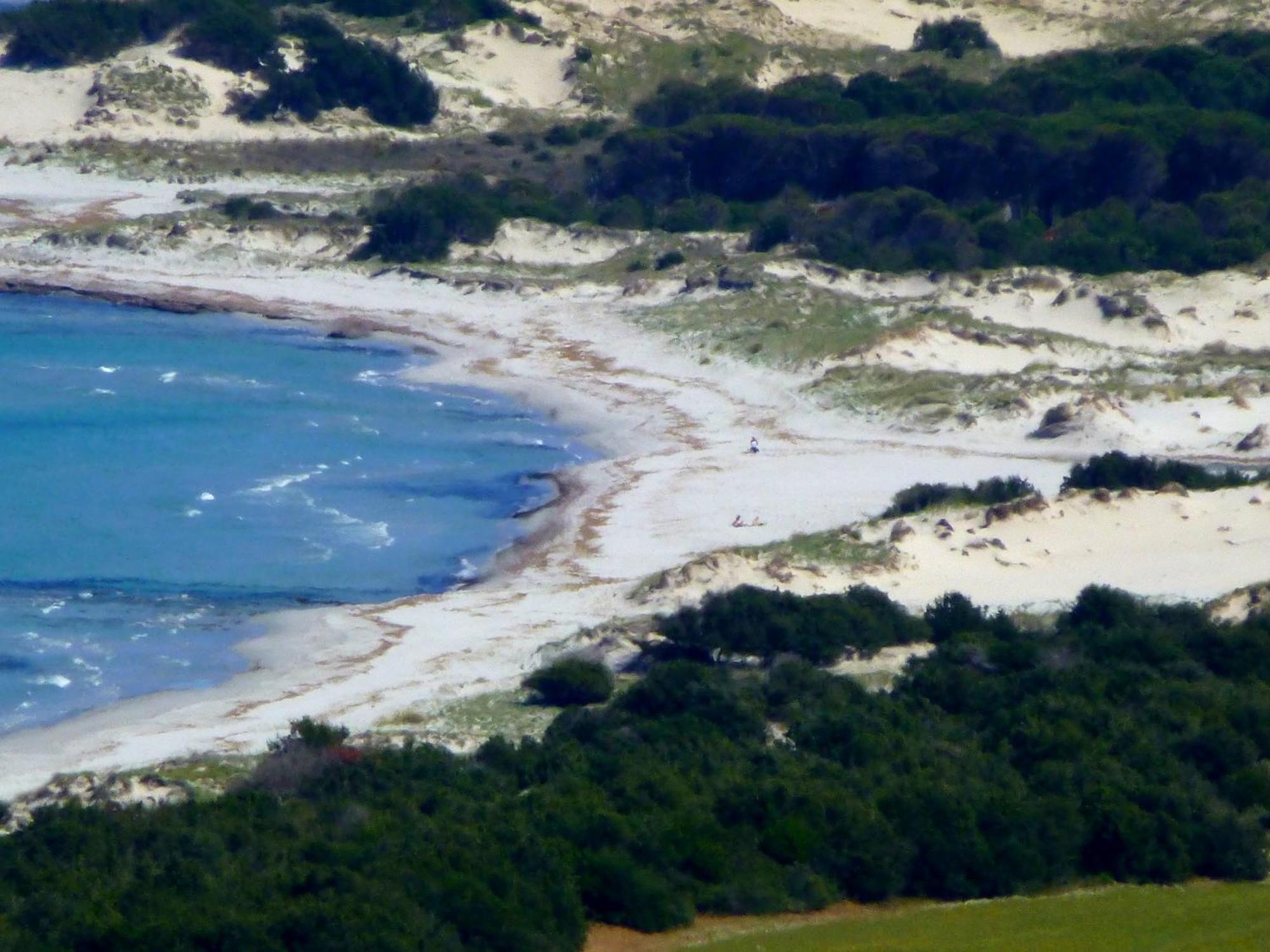 سينيسكولا Comino Alto Agriturismo E Appartamenti المظهر الخارجي الصورة