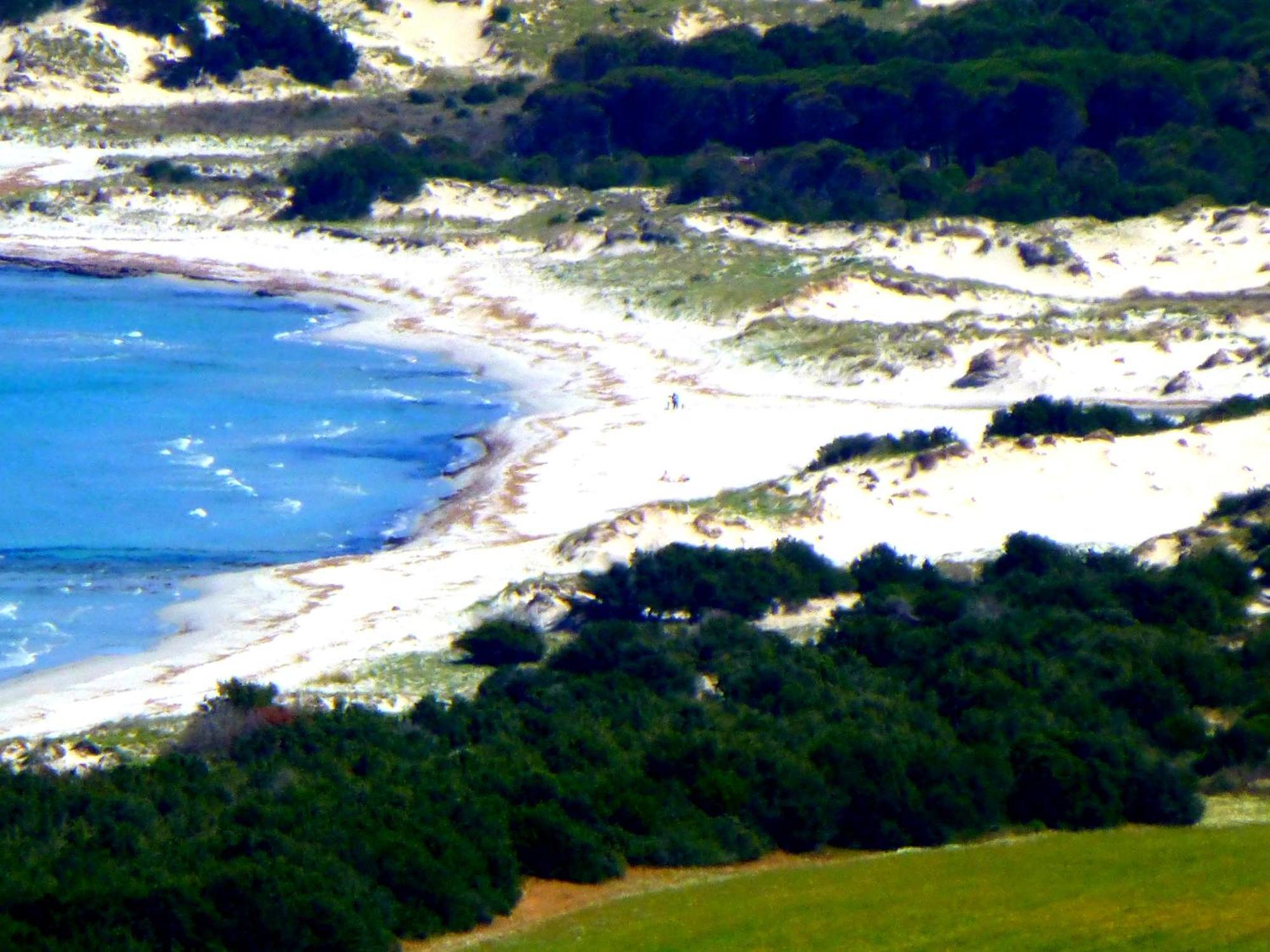 سينيسكولا Comino Alto Agriturismo E Appartamenti المظهر الخارجي الصورة