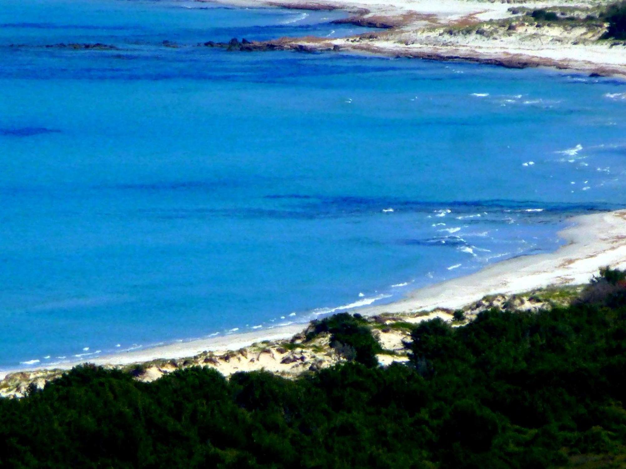 سينيسكولا Comino Alto Agriturismo E Appartamenti المظهر الخارجي الصورة