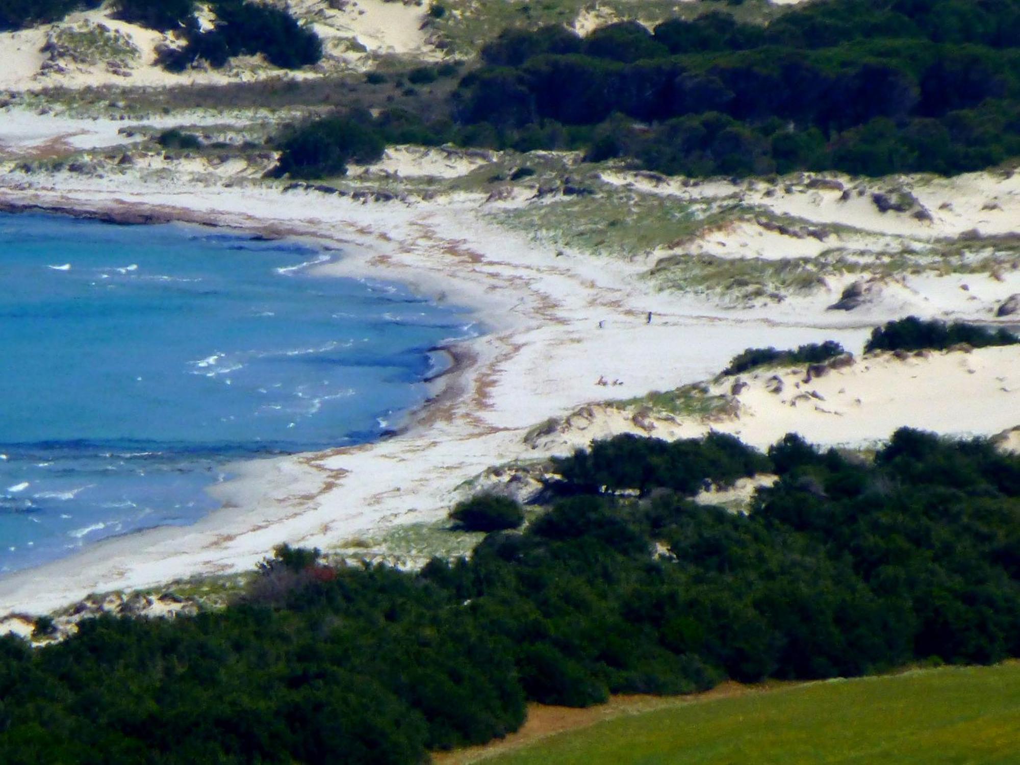 سينيسكولا Comino Alto Agriturismo E Appartamenti المظهر الخارجي الصورة