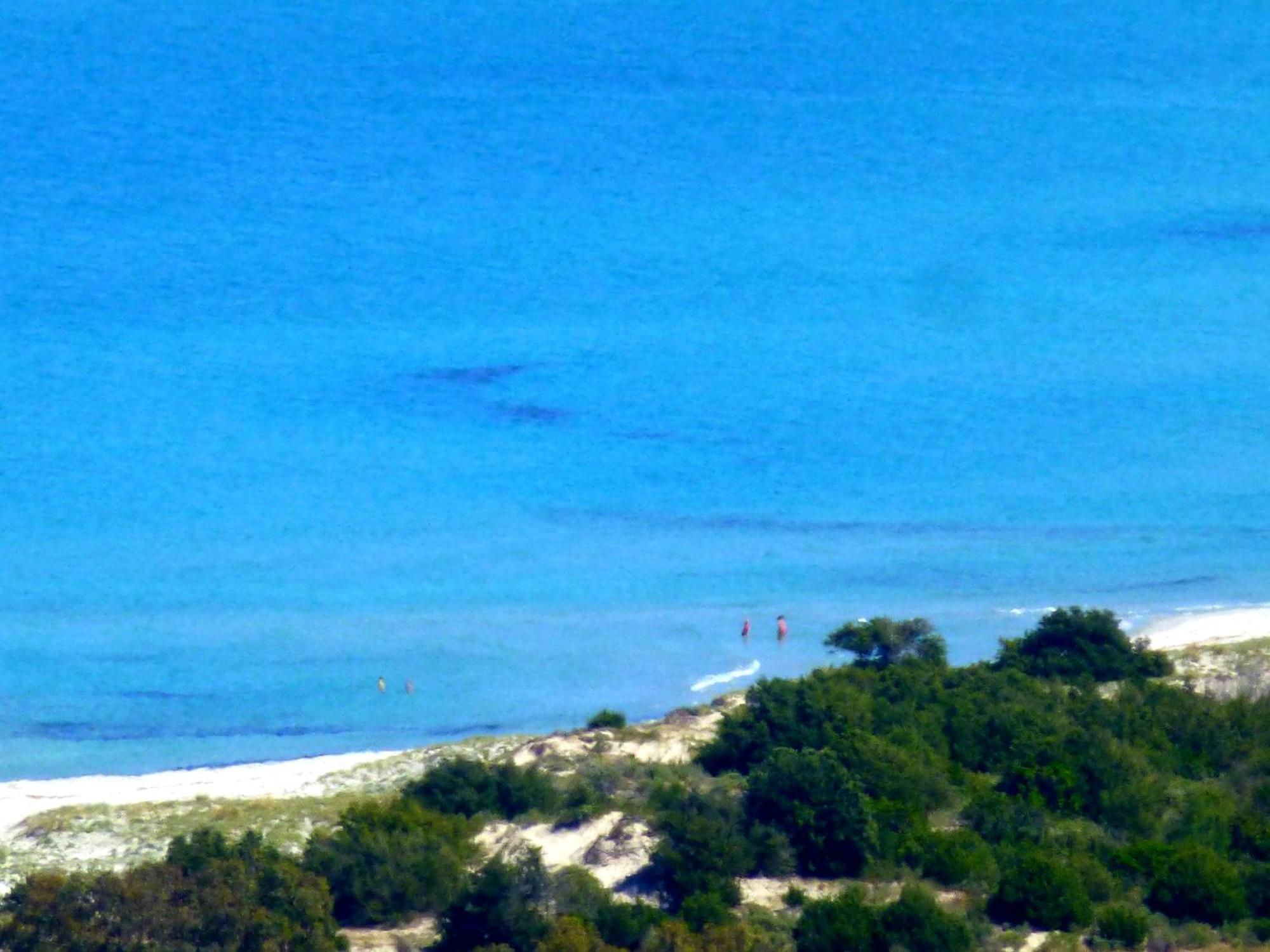 سينيسكولا Comino Alto Agriturismo E Appartamenti المظهر الخارجي الصورة