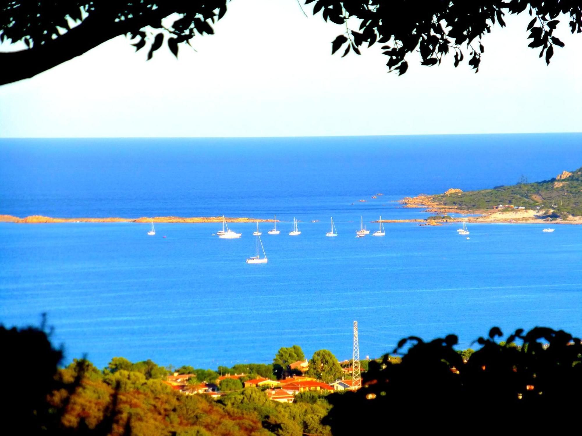 سينيسكولا Comino Alto Agriturismo E Appartamenti المظهر الخارجي الصورة