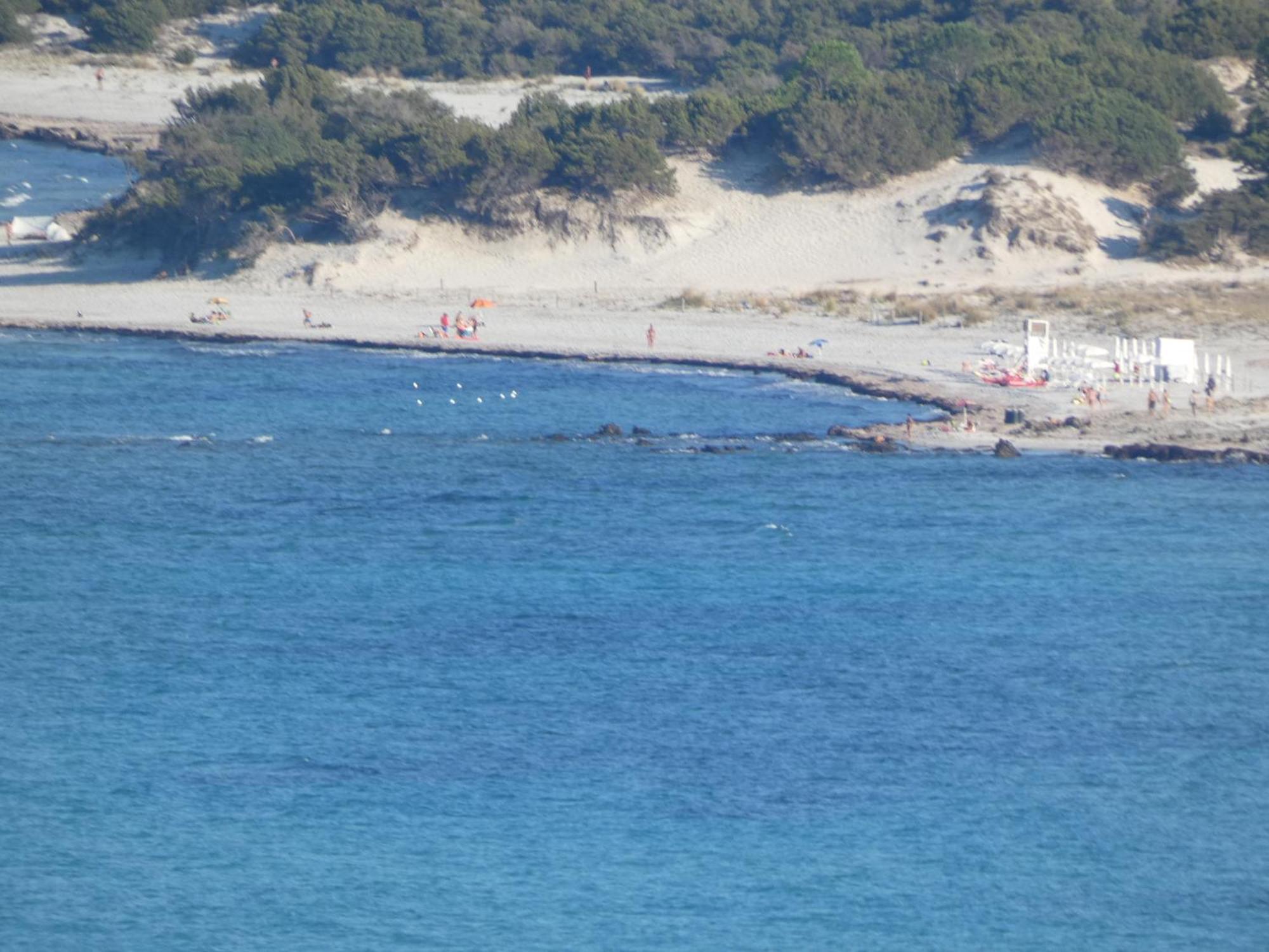 سينيسكولا Comino Alto Agriturismo E Appartamenti المظهر الخارجي الصورة