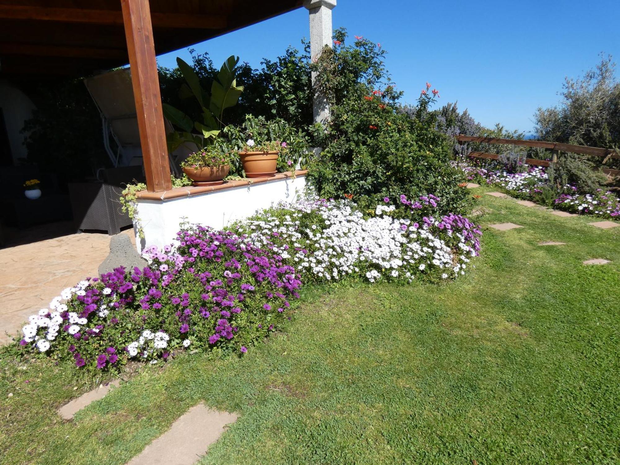 سينيسكولا Comino Alto Agriturismo E Appartamenti المظهر الخارجي الصورة