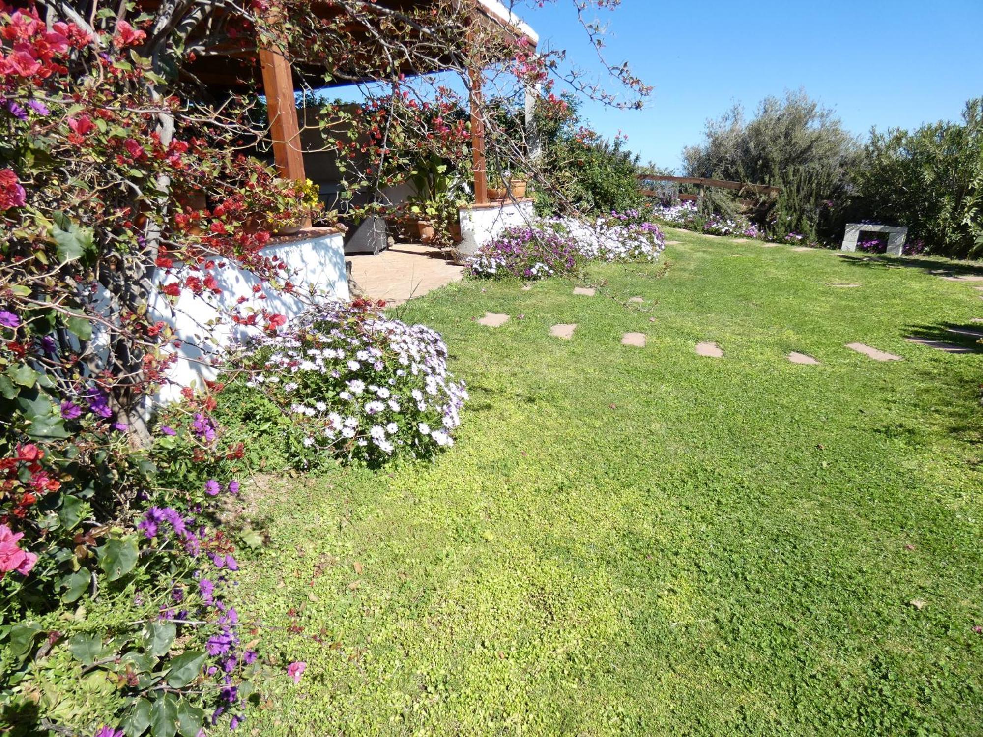 سينيسكولا Comino Alto Agriturismo E Appartamenti المظهر الخارجي الصورة