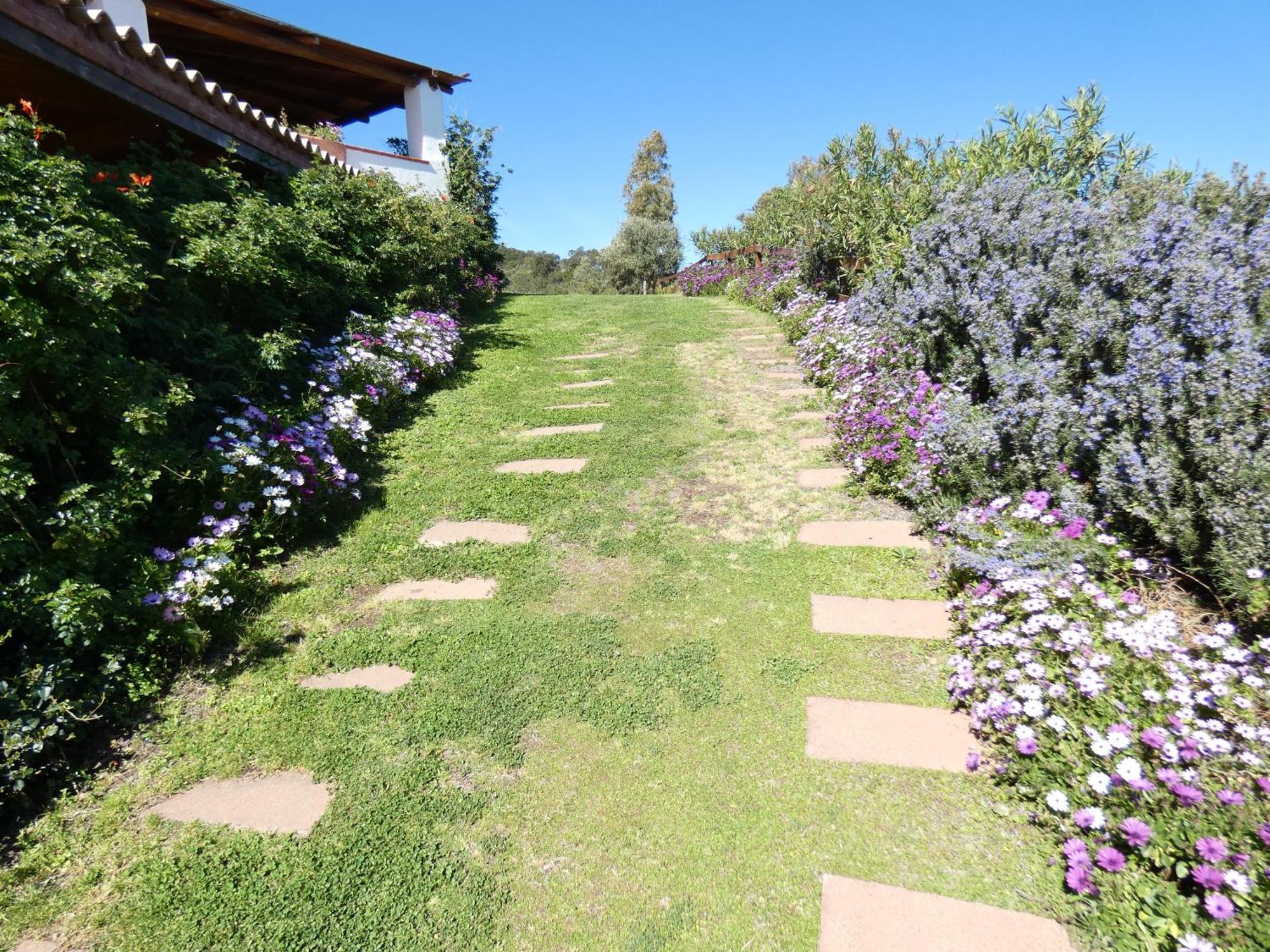سينيسكولا Comino Alto Agriturismo E Appartamenti المظهر الخارجي الصورة