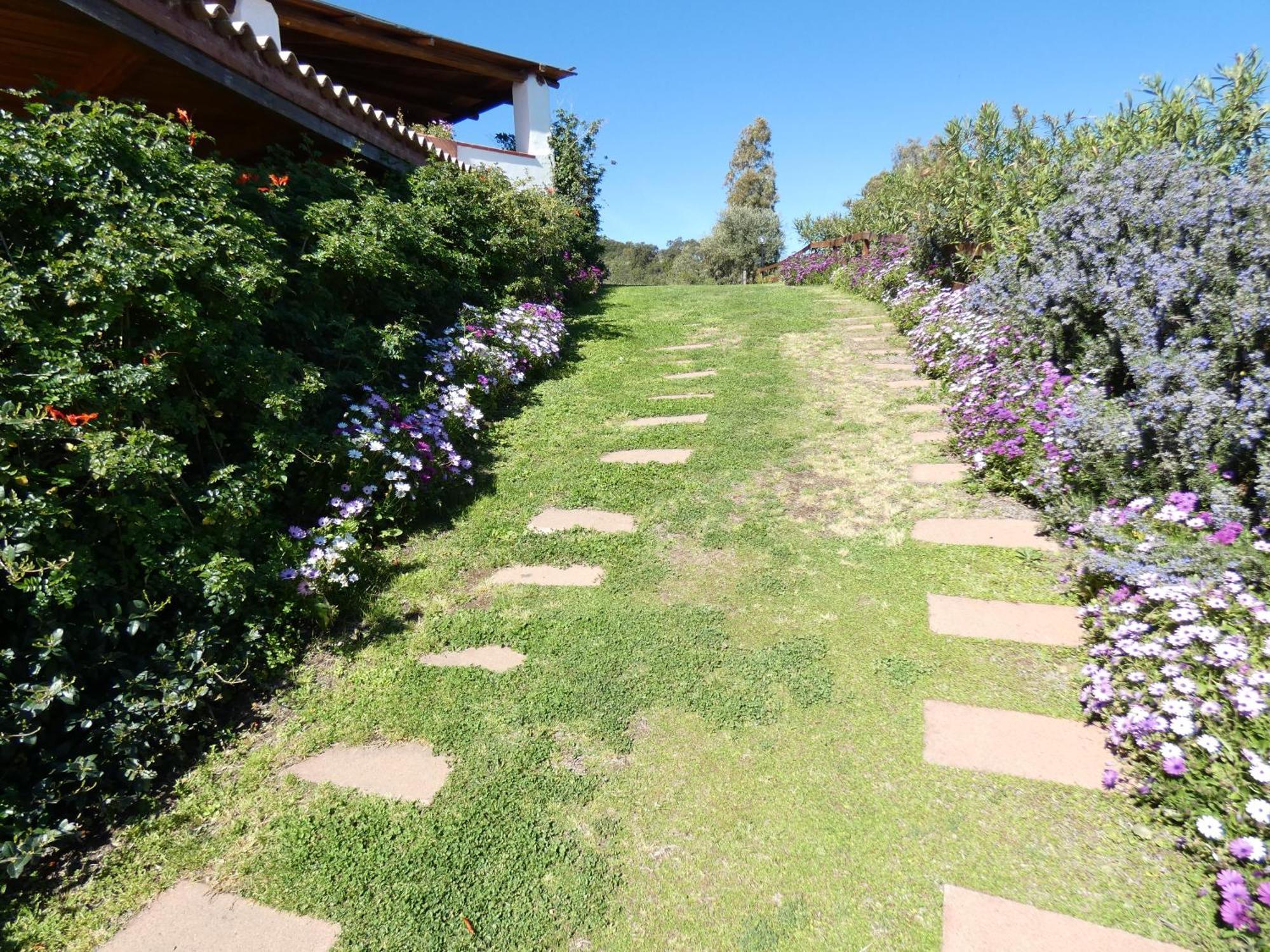 سينيسكولا Comino Alto Agriturismo E Appartamenti المظهر الخارجي الصورة