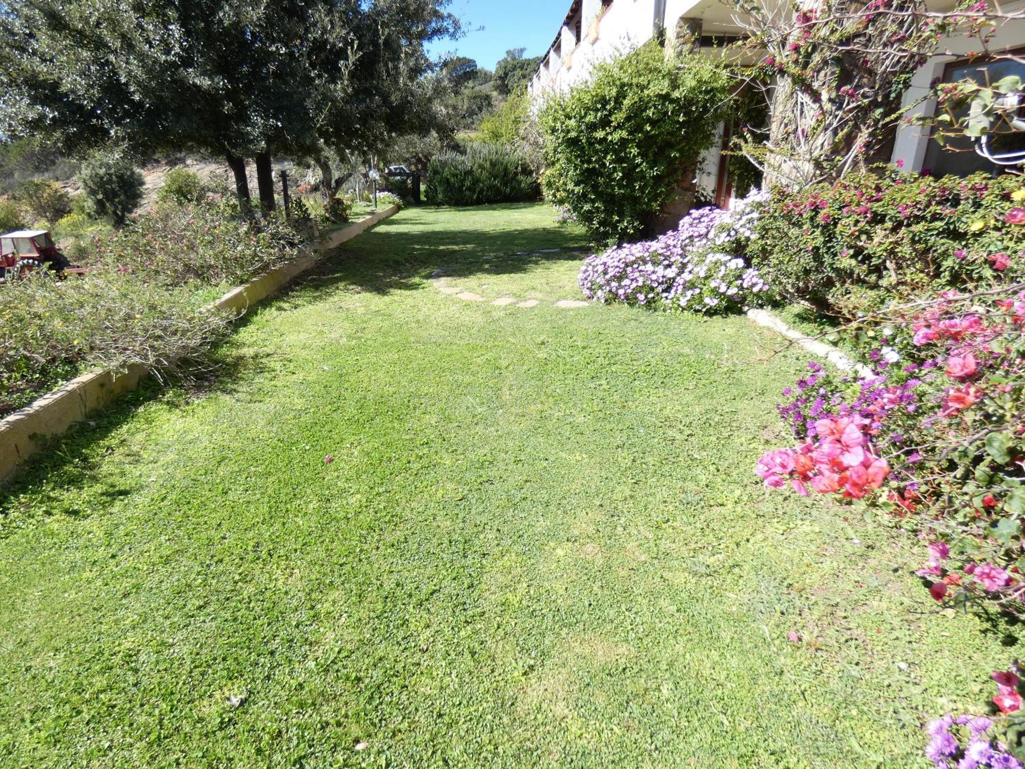 سينيسكولا Comino Alto Agriturismo E Appartamenti المظهر الخارجي الصورة