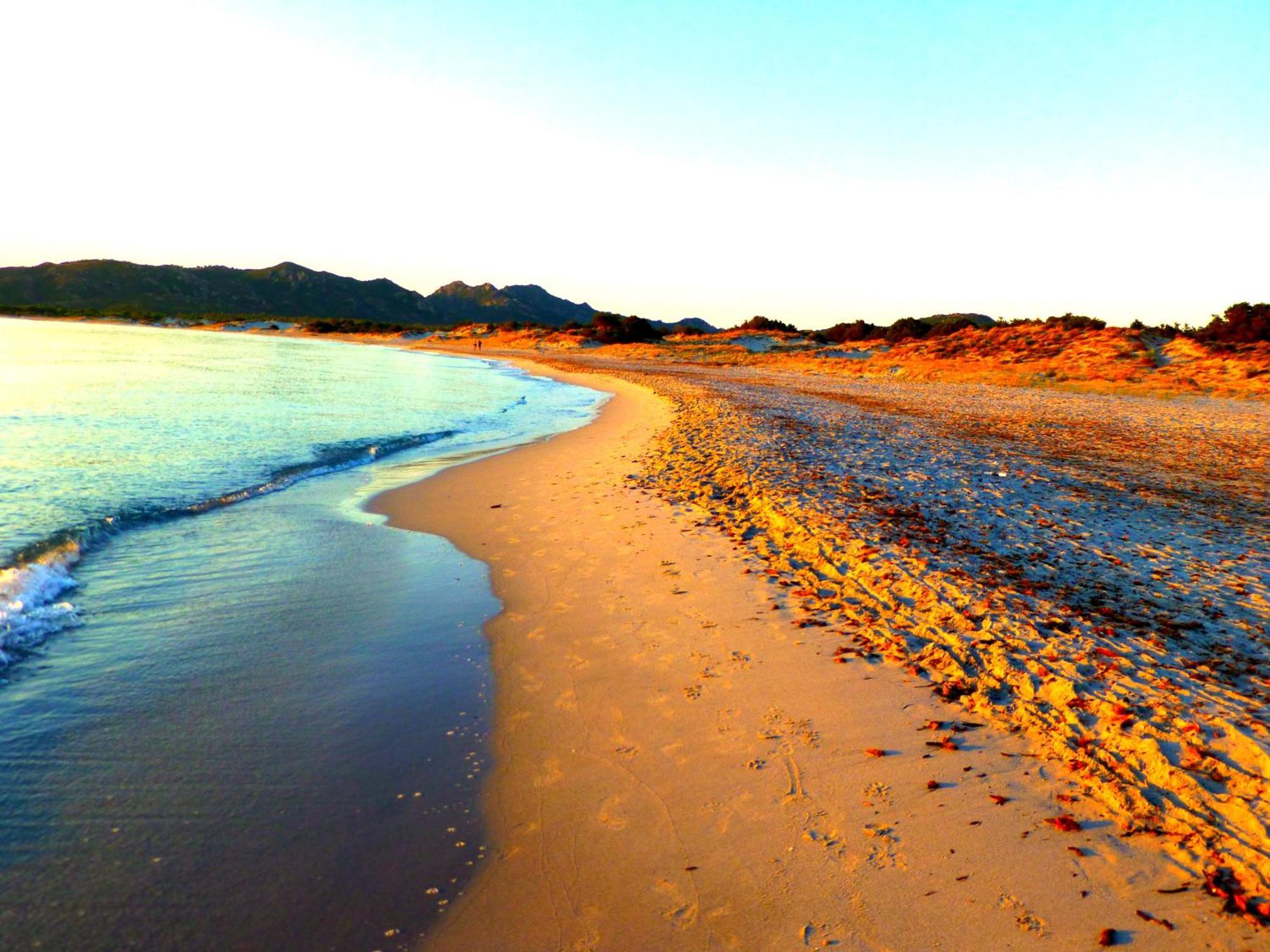 سينيسكولا Comino Alto Agriturismo E Appartamenti المظهر الخارجي الصورة